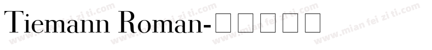 Tiemann Roman字体转换